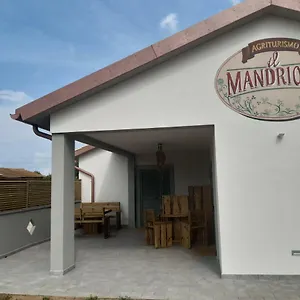 Il Mandriolo , Marina di Grosseto Italia